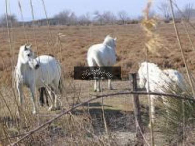 Propriété Sur 2,8 Hectares. 1465m² Narbonne