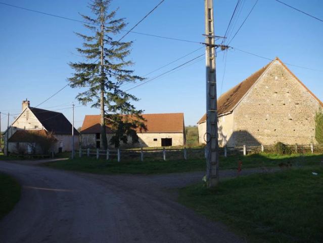 Propriété sur 5 hectares de terrain