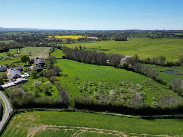 Propriété rurale 6,9 ha avec maison de 170 m2, petit studio et piscine Boussac Bourg