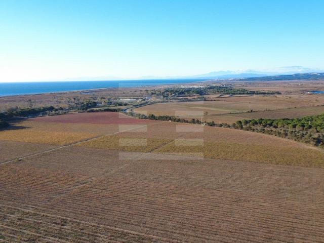 Propriété viticole 1800m² Béziers
