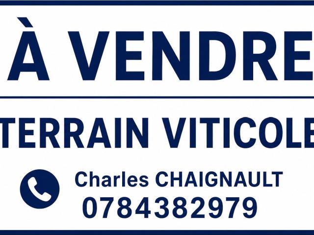 Propriété viticole à vendre à Meursault 21190