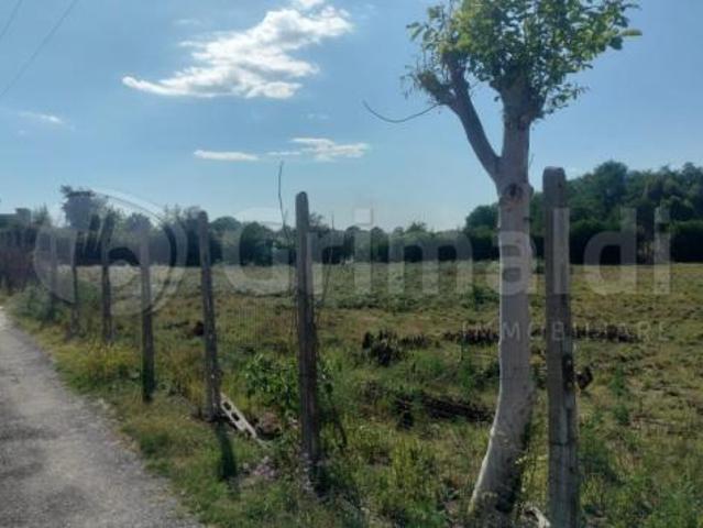 Prato in affitto a Giugliano in Campania