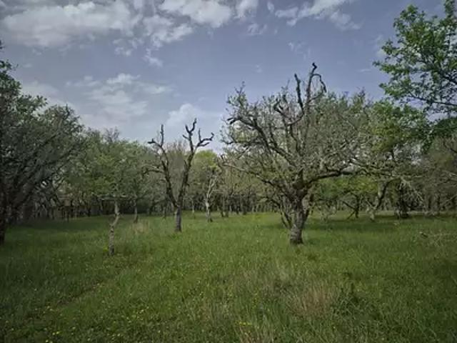 Prats de Carlux 24370 Achat / Vente terrain