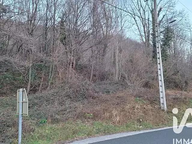Prats de Mollo la Preste 66230 Achat / Vente terrain
