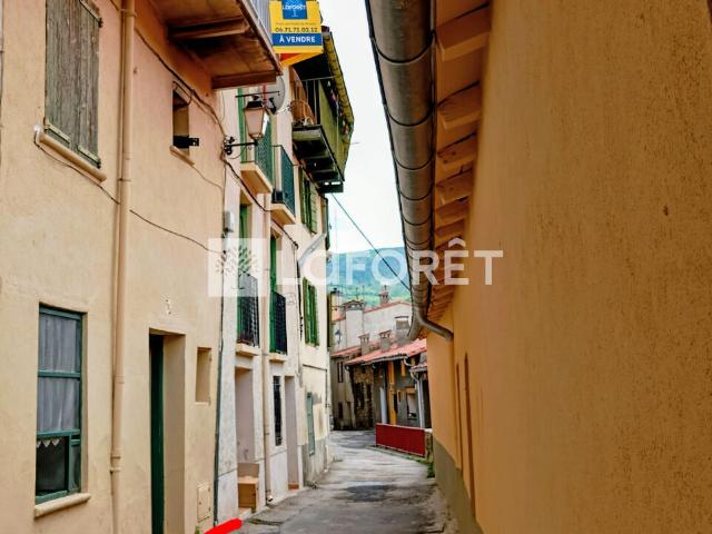 Prats de Mollo la Preste Vente Maison 66