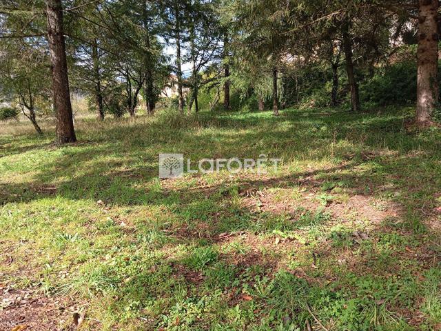 Prats de Mollo la Preste Vente Terrain 66