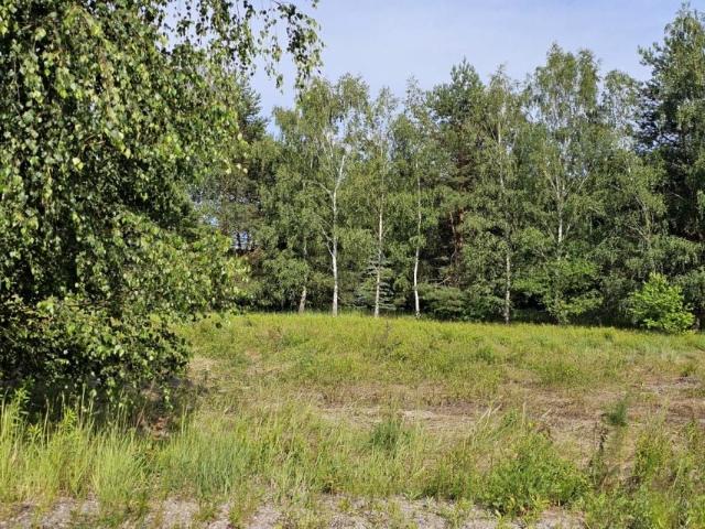 Prawdziwka 2 000 m², Warszawa