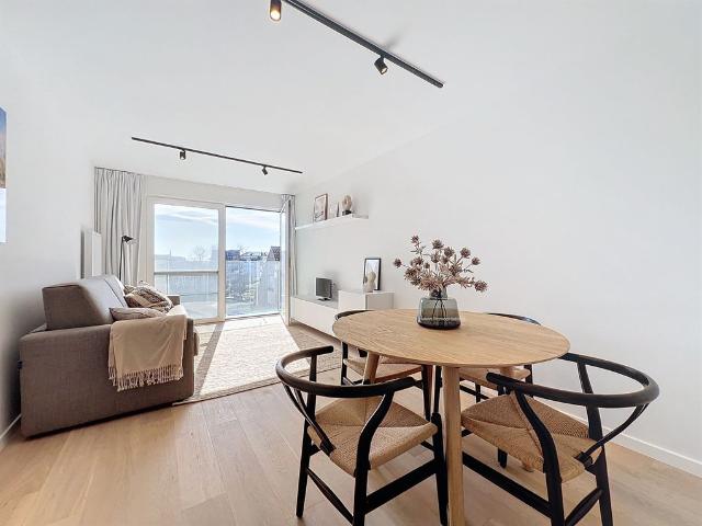 Prachtig gerenoveerde studio met open zichten over Duinbergen