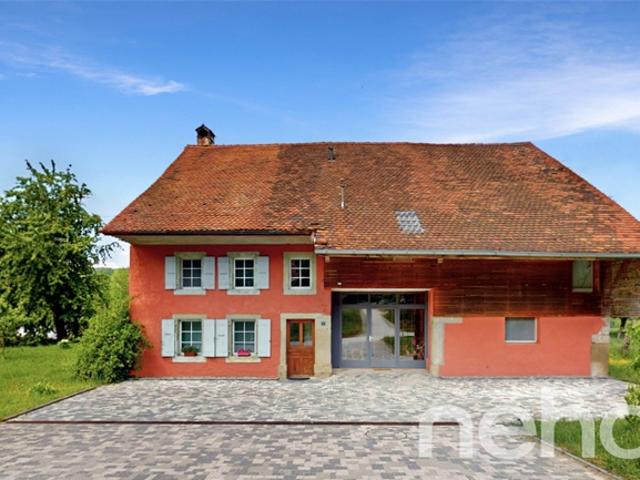 Prächtig renoviertes Bauernhaus mit Handwerksbetrieb im Herzen der Broye