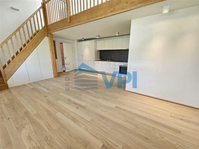 Prächtige neue 2 Zimmer Mezzanine Wohnung