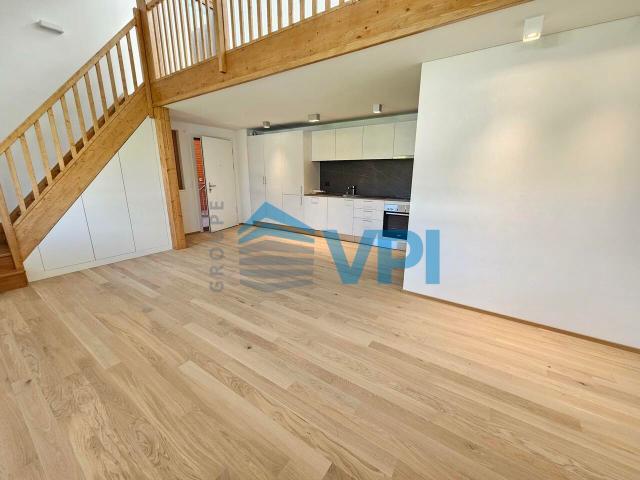Prächtige neue 2 Zimmer Mezzanine Wohnung