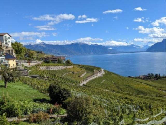 Prächtige neue Villa mit 6,5 Zimmern und Panoramablick auf den See in Chexbres