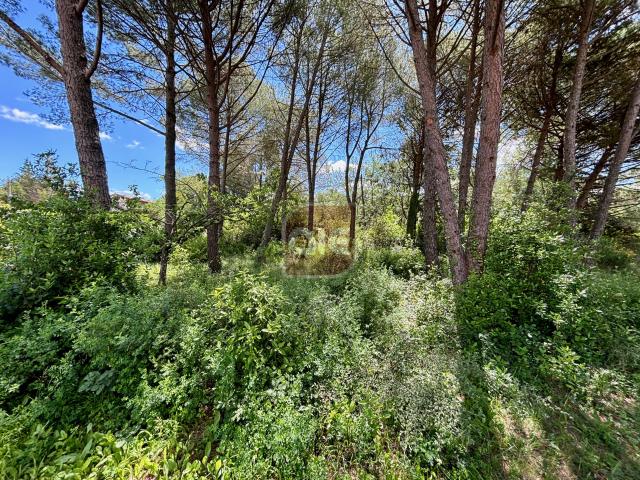 Prades Le Lez: Terrain à bâtir viabilisé de 520 m2