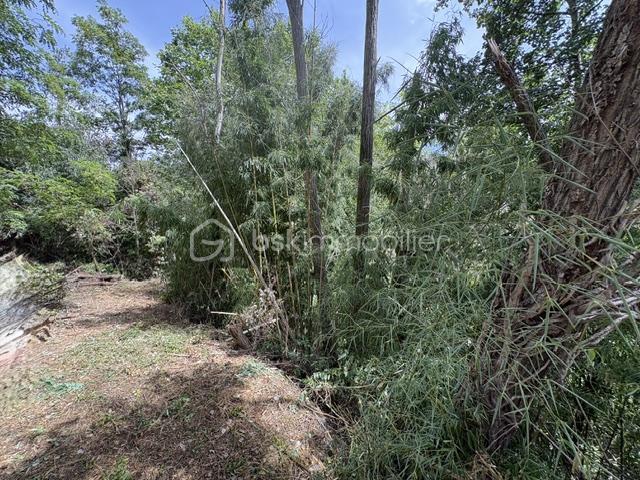 Prades Vente Terrain 66