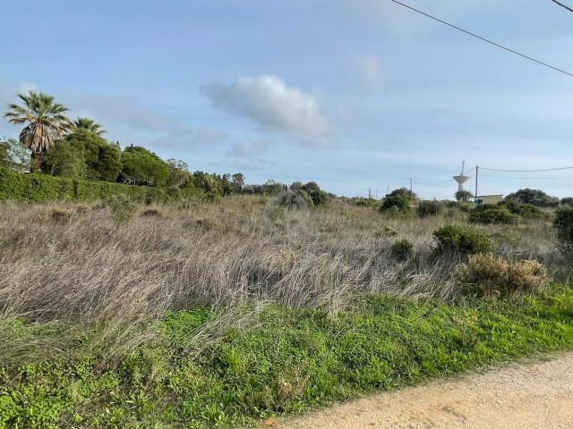 Praia da Luz Algarve 87735066