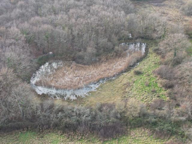 Prairie naturelle dans l'INDRE