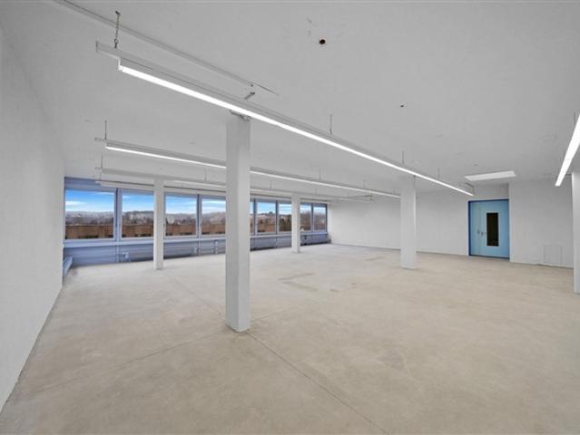 Praktische Gewerbefläche mit 1'000 kg/m² Bodenlast Aussicht inkl.!