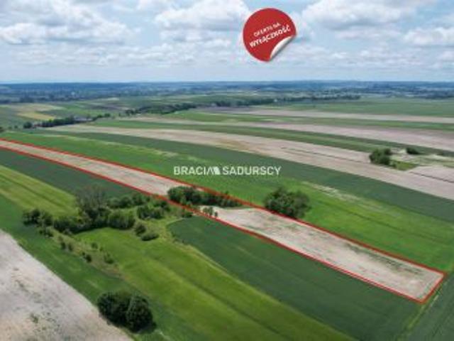 Prandocin Iły, 30500 m² Działka