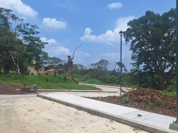 PRE VENTA DE LOTES EN FRACCIONAMIENTO SAN BENITO JUNTO AL FRACC.SAN JOSE TEXIN