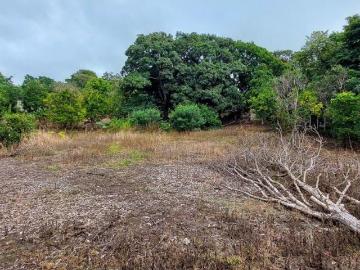 Precio Reducido! Amplio Lote En Venta En Cambutal, Los Santos