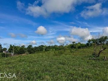 Precio Reducido! Lote Agrícola en Las Tumbas, Bugaba