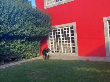 Preciosa Casa con Jardin