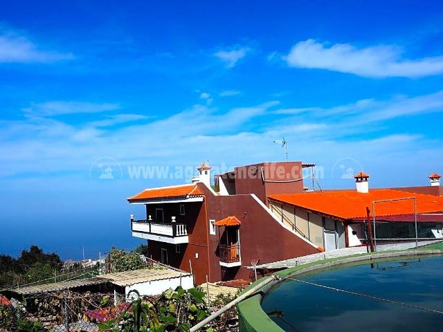 Preciosa finca con casa muy grande en La Patita, Icod de los. 2933m² Los Pinos