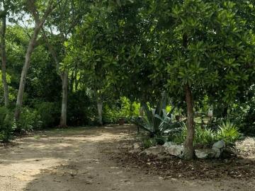 Preciosa Quinta de 2 Hectáreas a 15 min de Mérida