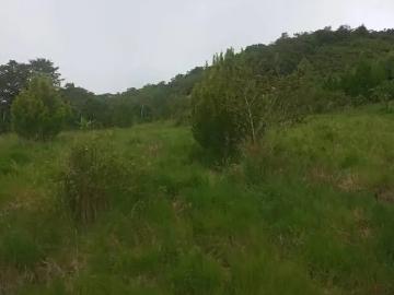 Precioso terreno de 7 ha en Quillazu Oxapampa