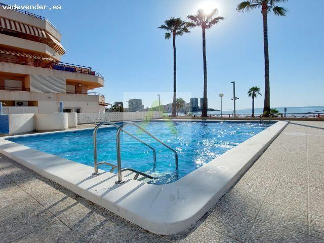 Precioso Bajo a Estrenar en primerísima Línea de Playa!