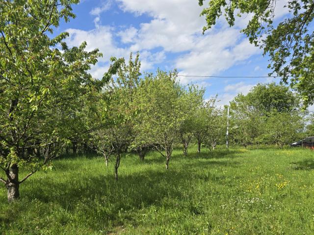 PRÉCIGNÉ Terrain de loisirs / verger de plus de 1 800 m2