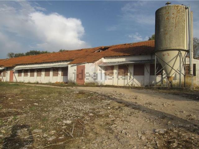 Prédio, Chancelaria