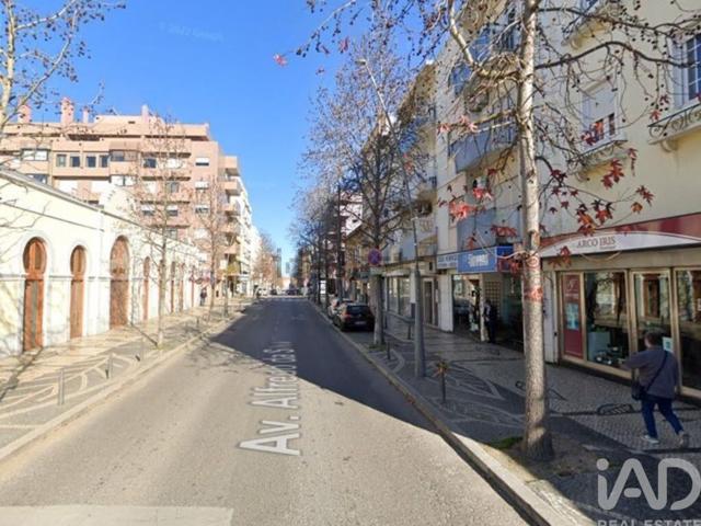 Prédio, Barreiro e Lavradio