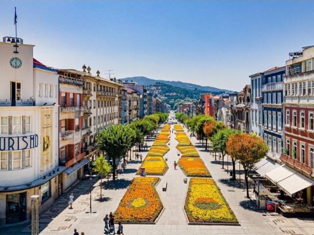 Prédio Escritórios | Yield 6,5%/ano | Braga
