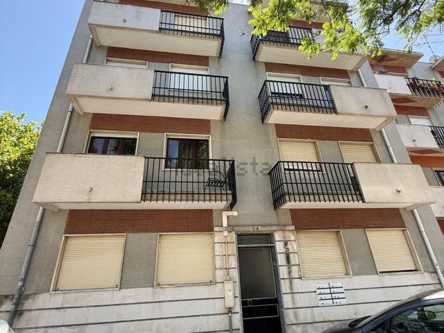 Prédio, Montijo e Afonsoeiro