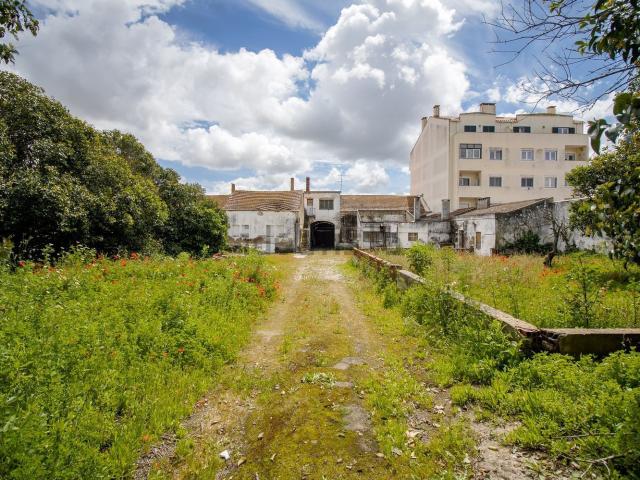 Prédio, Montijo e Afonsoeiro
