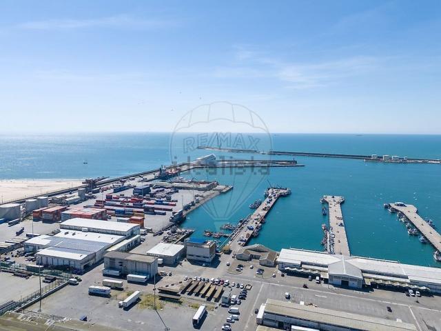 Prédio, Matosinhos e Leça da Palmeira