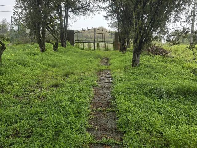 Prédio misto com um terreno rústico de 16.960 m²