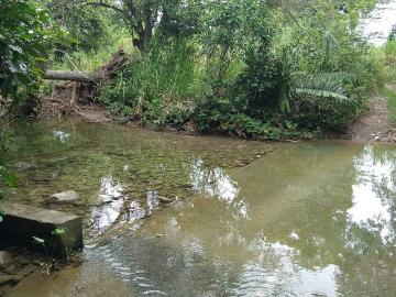 Terreno en Venta, Rancho de 10.5 hectáreas ideal para agricultura y ganadería en Misantla, Veracruz