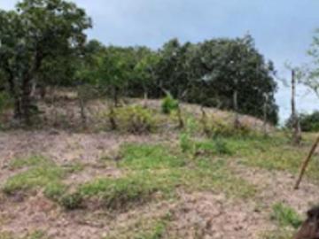 PREDIO RUSTICO TERRENO EN VENTA AMECA EN PRECIO DE OPORTUNIDAD