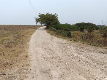 PREDIO RÚSTICO EN VENTA L 44 EN LOS TOLENTINOS, LOC. DE LA AURORA, MUNICIPIO EMILIANO ZAPATA, VER