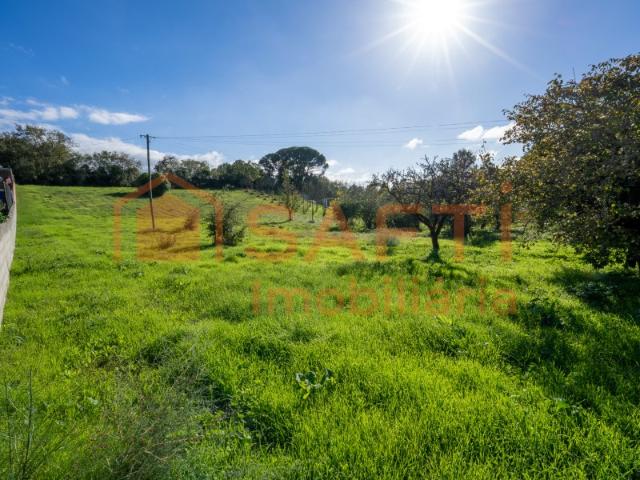 Prédio urbano com moradia para reconstrução, implantado num terreno com 4700m2