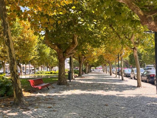 Prédio, Vila do Conde