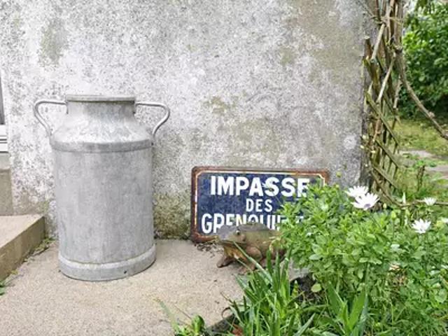 Préfailles 44770 Achat / Vente maison 5 pièces t5