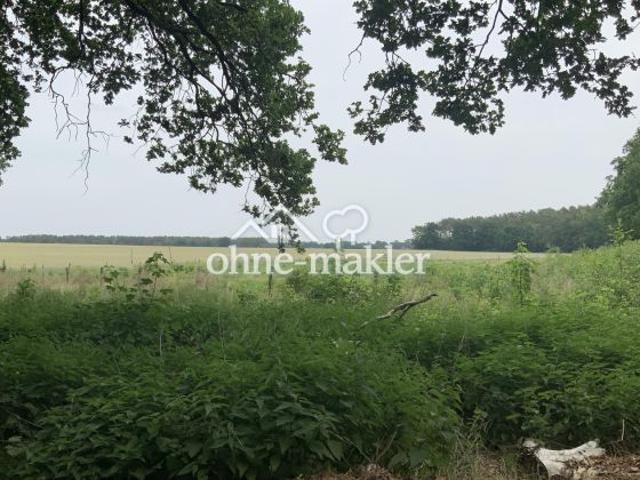 Preisreduzierung 19700 m² Kapitalanlage m² Preis 9,65 zur Entwicklung