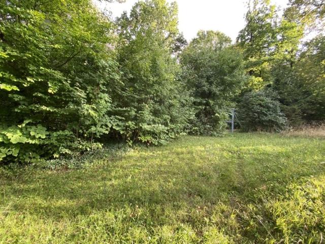 PREISREDUKTION ! 1.273 m² Grundstück in absoluter Grünruhelage in 1140 Wien ideal für ein Eigenheim !