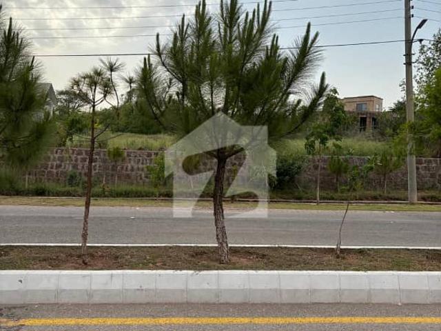 Premier Immediate Possession Plot 2,500 Square Yards In Sector C