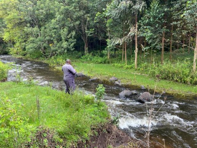 Premium Agricultural & Development Land for Sale – Nyeri County!