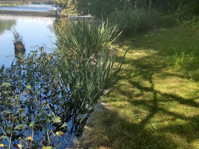 Premium Building Lot On Severn River