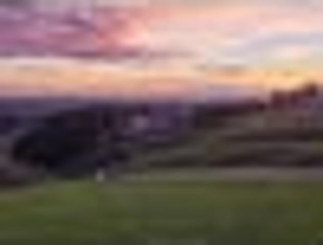 Premium Hilltop Section Kennedys Bush